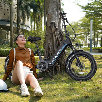 Electric Bike for Adults, Peak 1025W Mountain E Bike, 48V 13AH Removable Lithium-Ion Battery Ebikes, 20"X4.0" Fat Tire Electric Bicycles, 3A Fast Charge, 60 Miles Man Woman UL2849 Certified