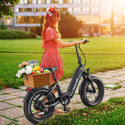 Electric Bike for Adults, Peak 1025W Mountain E Bike, 48V 13AH Removable Lithium-Ion Battery Ebikes, 20"X4.0" Fat Tire Electric Bicycles, 3A Fast Charge, 60 Miles Man Woman UL2849 Certified